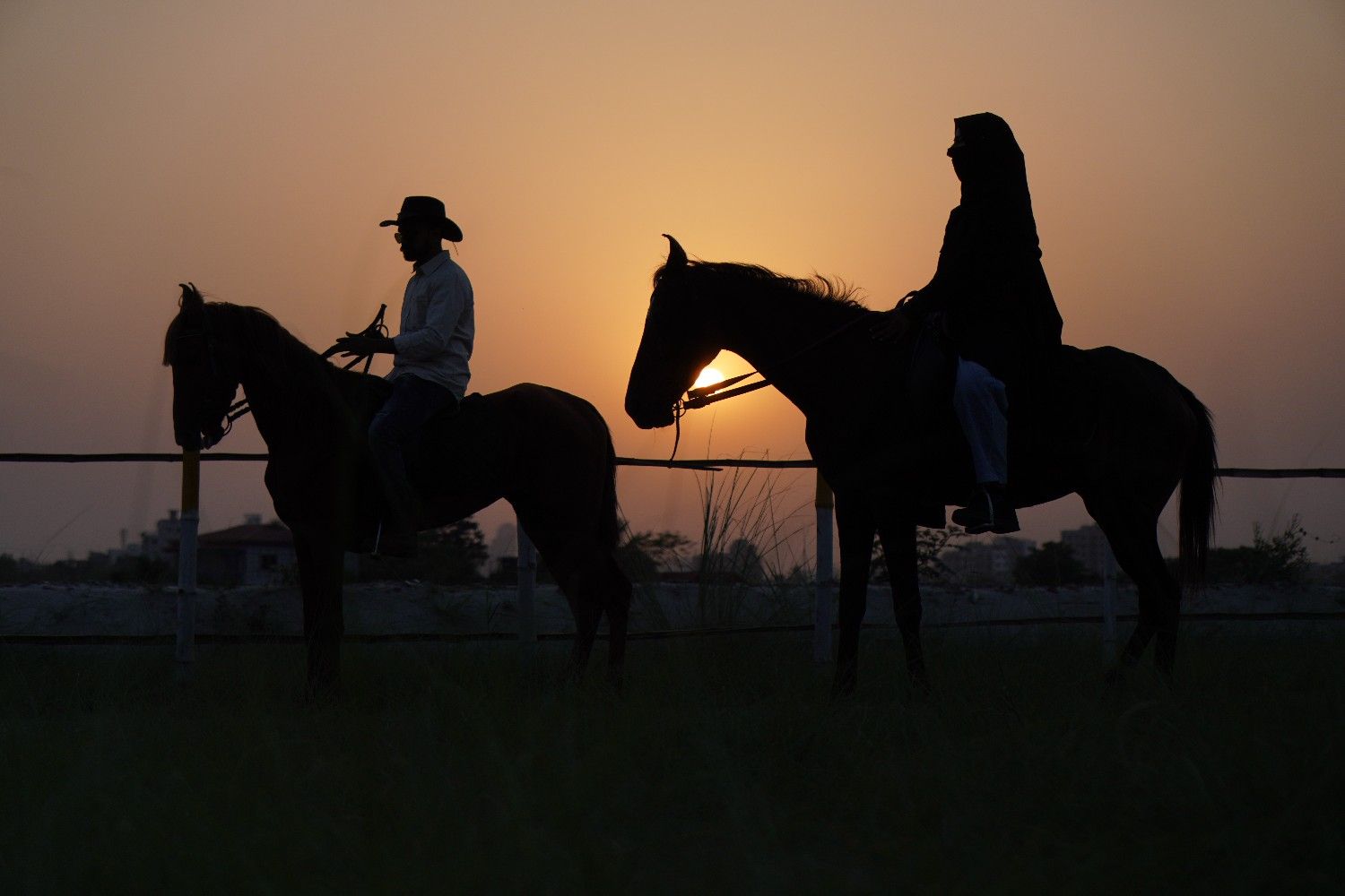 Professional rider with horse