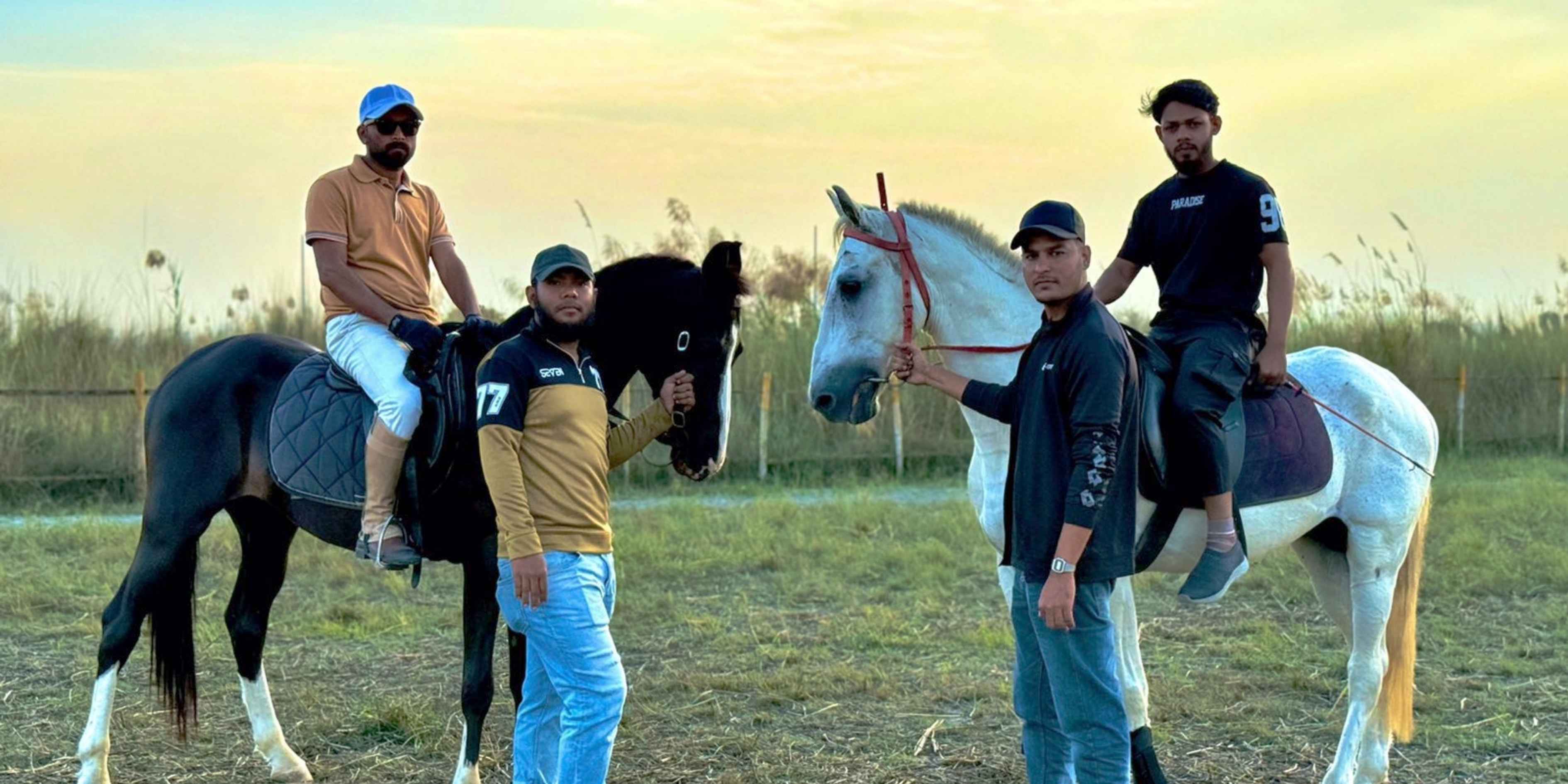 White horse with rider in equestrian setting